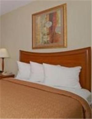 Billede 7: Spark by Hilton Orlando near Universal