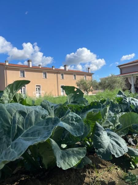 Agriturismo Le Spighe - Pisa