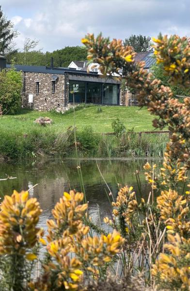 Renovated Barn With Pond View - Freshwater East
