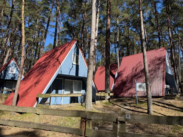 Urlaub Im Grünen, Finnhütte Versteckt Zwischen Bäumen Und Dünen - Carla - Zinnowitz