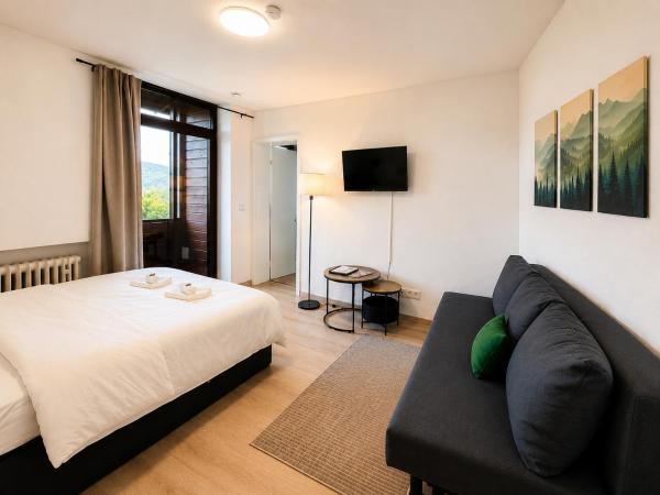 Romantisches Apartment Mit Bergblick Im Bayerischen Wald Gratis Osserbad - Bodenmais