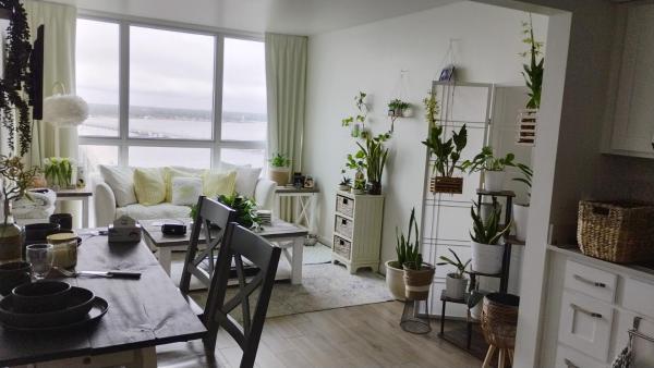 Cozy 10 - フォート・マイヤーズ, FL
