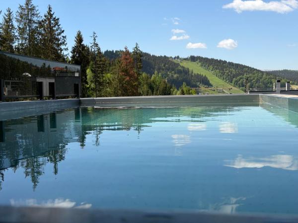 Nella foto è visibile l'oggetto Chalet Velvet by Fomich situato nella città di Palyanytsya.