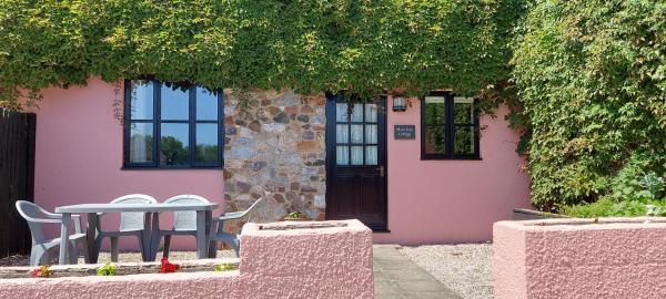 Plum Tree - Teignmouth