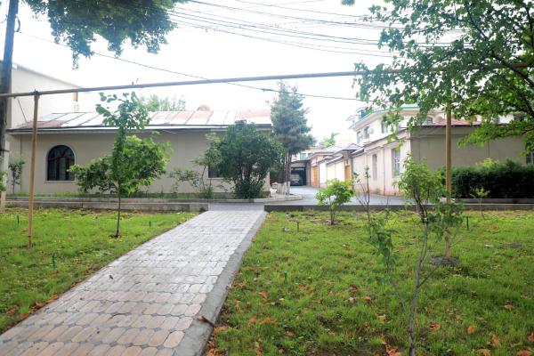 Anhor Hotel & Hostel In City Centr - Tashkent