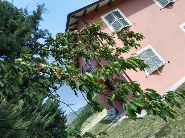 La Villa Di Zio Pino - Provincia di Macerata