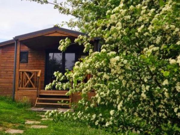 Chalet Confort Avec Terrasse - 5 Pers. - Api-1-52-2792 - Schwarzwald