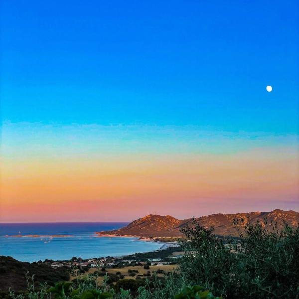 Comino Alto Agriturismo E Appartamenti - Sardaigne