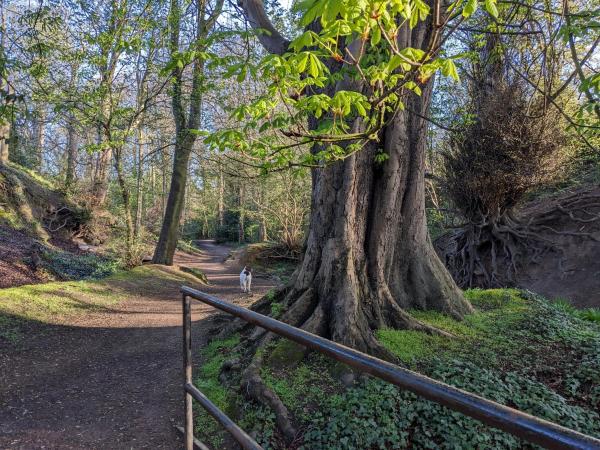 Woodside, Near Edinburgh - Gullane
