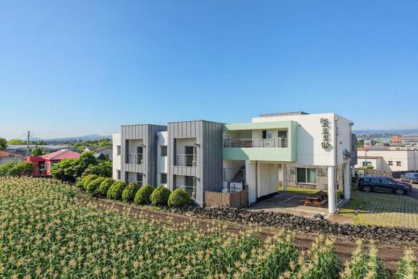 Jeju Tto-o-keu-ra Pension - Ciudad de Jeju