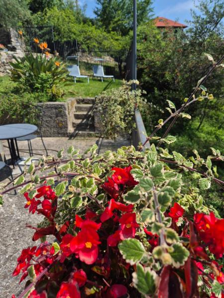 Nice Nest For Two S Margherita L. 010054-lt-0405 - Camogli