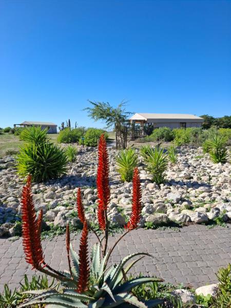 På billedet ses objektet Thali Thali Game Lodge beliggende i byen Hopefield.