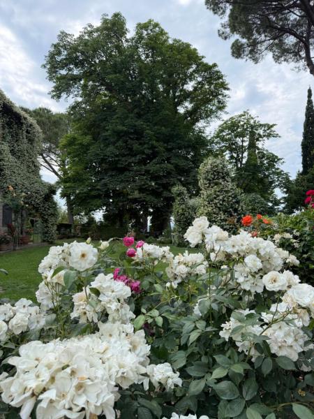 Antica Villa Con Giardino - Lazio