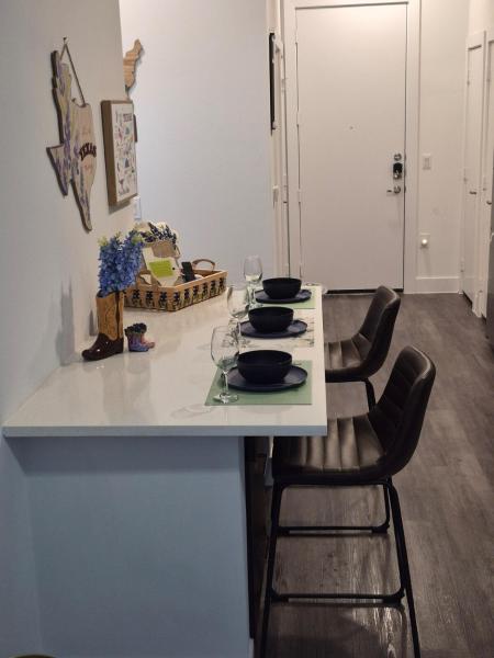 Luxury 1bed 1bath Near Riverwalk, And The Pearl - San Antonio, TX