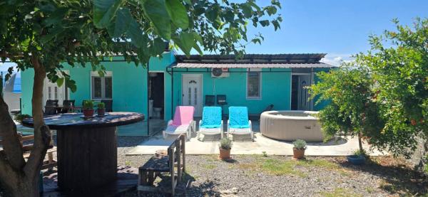 Olive Grove Retreat Podgorica - Podgorica