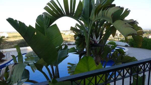 Apartment Regal Gardens 1- B105 - Chypre
