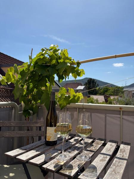 Klimatisiertes Apartment Mit Balkon - Deidesheim