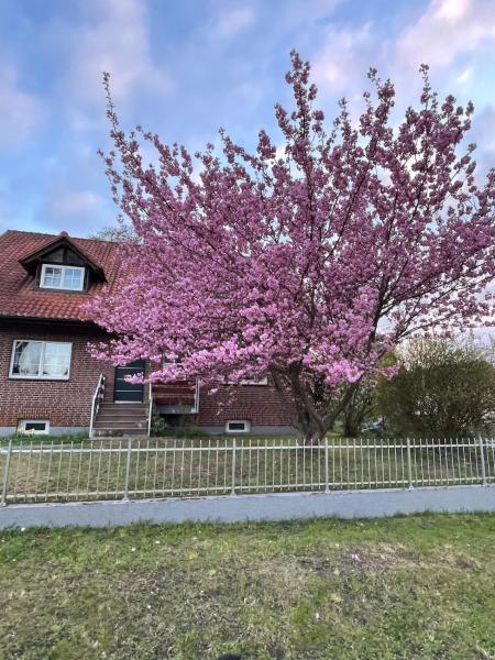 Vacation Apartment Between Berlin And Potsdam, 60 Quadratmeter Mit Glasfaser Und Netflix - Brieselang