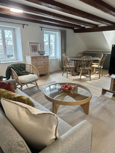 Stadtloft Suites Richterswil - Switzerland