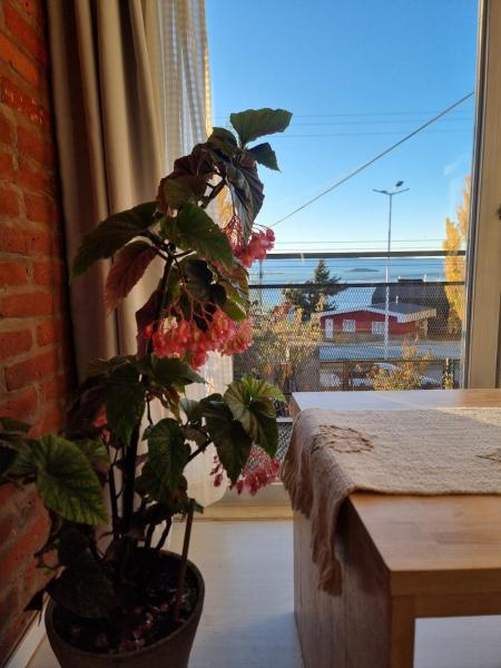 Loft Vientos Patagonicos - El Calafate