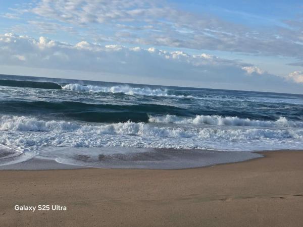 Wave Watcher - Amanzimtoti