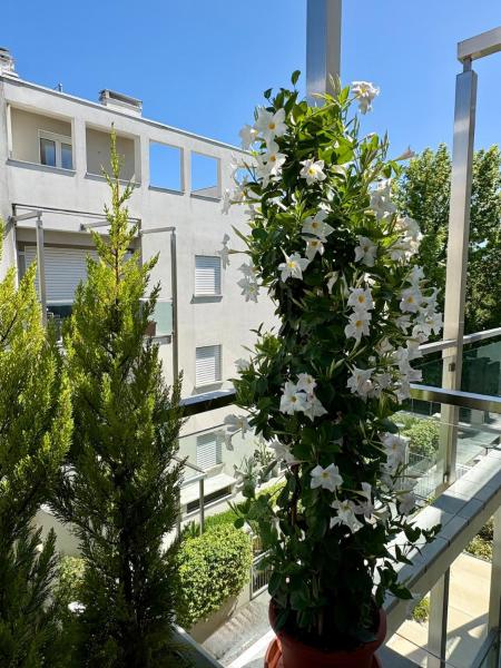 Baia Bianca Luxury Seaside - Marina di Massa