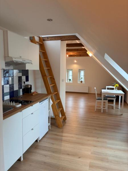 Apartmán V Domě Se Zahradou - Kladno