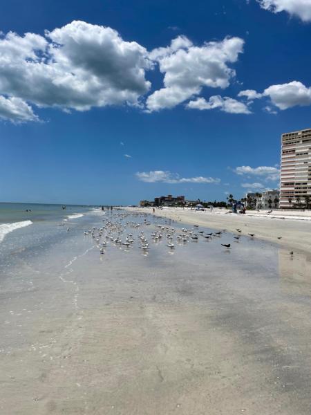 Beachside 1 Bedroom Condo-motel - Redington Beach, FL
