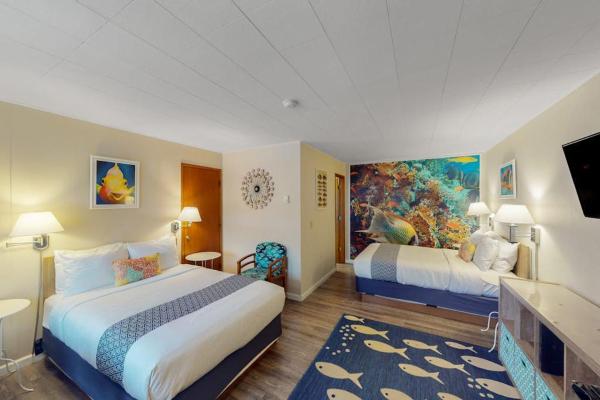 Spacious 2-room Combo Close To Bandon With Cable Wifi Mini-fridge - Dogs Ok - 밴든