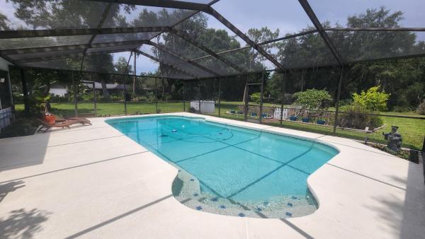 Peaceful Paradise - Land O' Lakes, FL