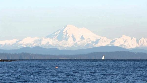 View Of Ocean & Mount Baker - Langley