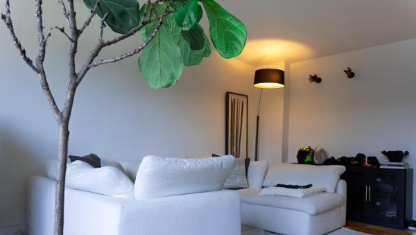 Bright & Stylish Forest Hill Gem Near Downtown - Toronto