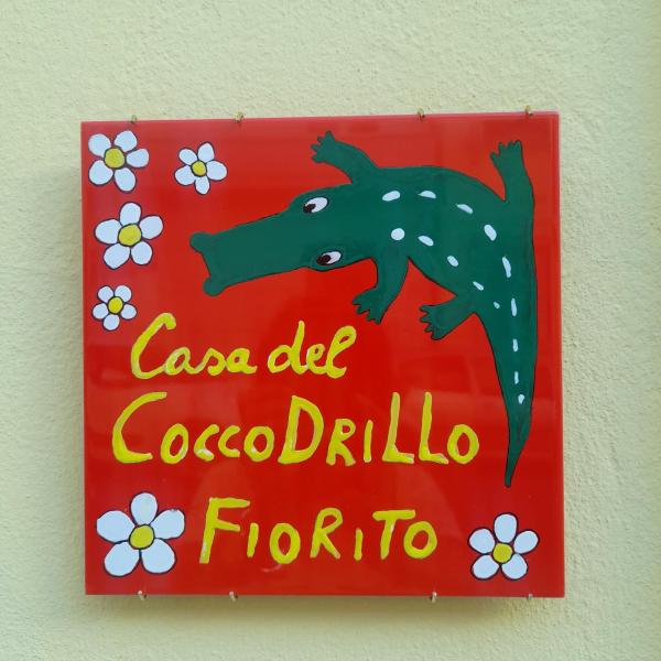 Coccodrillo Fiorito - Camaiore