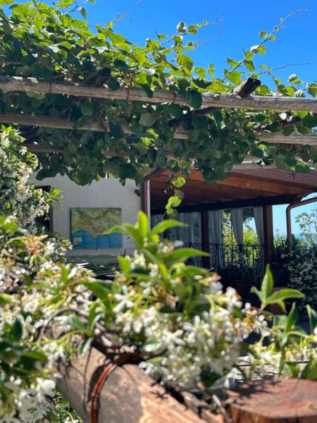 Agriturismo Orrido Di Pino - Amalfi