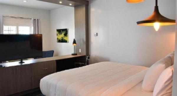 Hotel Bella - Houston, TX