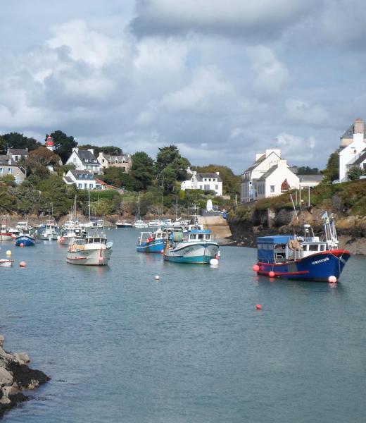 Grande Maison Mer Et Campagne - Brittany