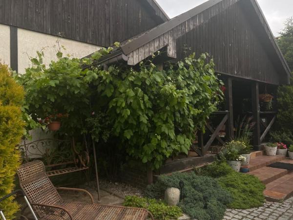 Podamirowo Zielona Przystań - Mielno