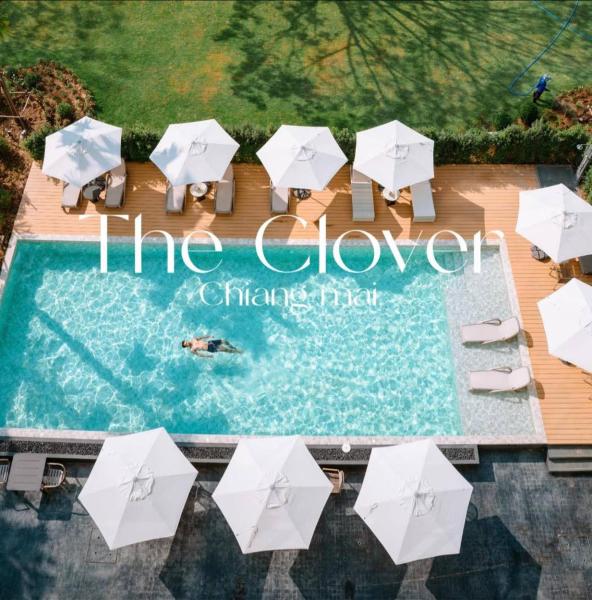 The Clover - Chiang Mai