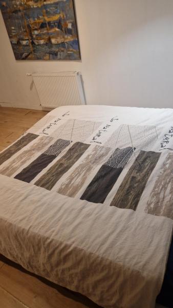Na fotografii je vidět objekt Appartement Entier ou Chambre bordeaux centre nacházející se ve městě Bordeaux.