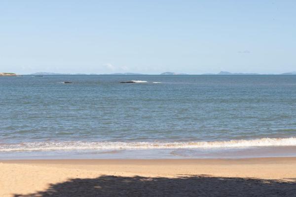 Apto Com Garagem A 550 Metros Da Praia Do Centro - Rio das Ostras
