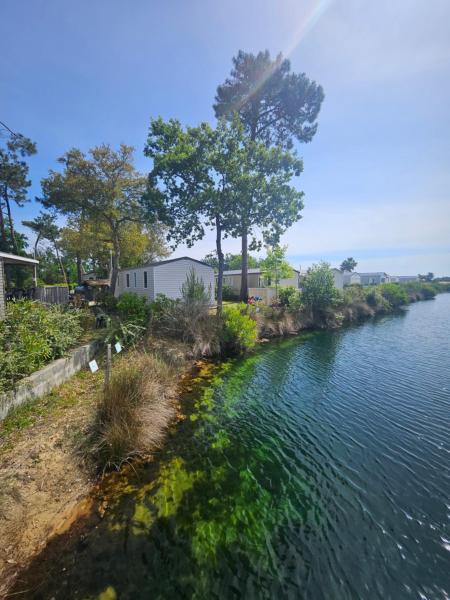 Au Bord De L'eau "Chez Michèle" -Camping Les Viviers- - Cap Ferret