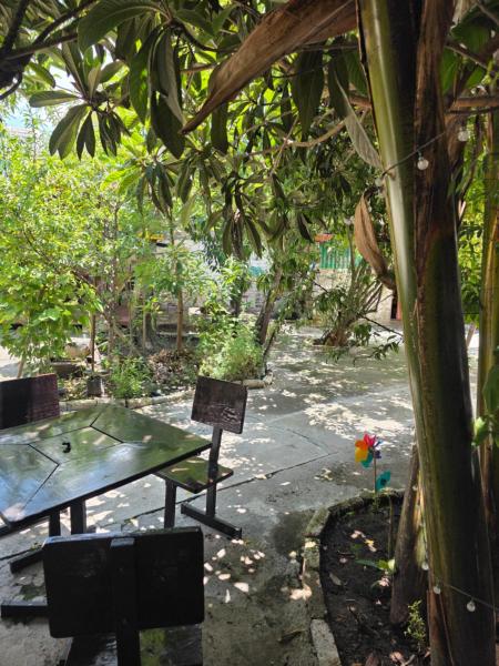 Casa Amarilla Tecámac - Ojo de Agua