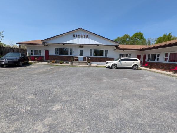 Siesta Roadside Inn & Suites Kingston - Kingston