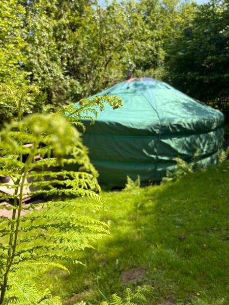 Oakdean Cottage Yurt - Cotswolds