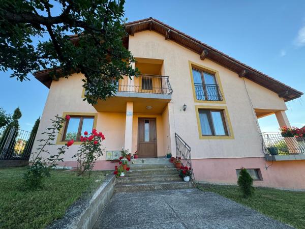 The photo shows the Casa DaLi located in the city of Turnişor.
