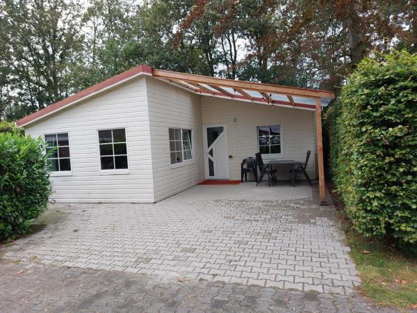 Boslodge 7 Personen - Hoogeveen