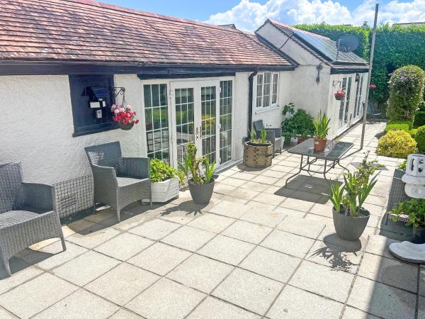 Derriford Muse - Plymouth