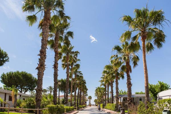 Camping Estival Vendrell Platja - Catalonië