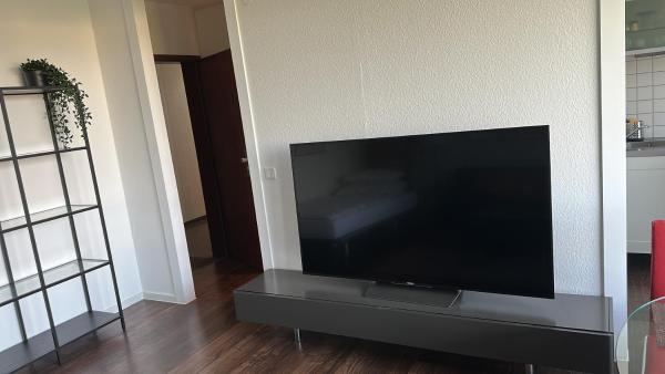 Düsseldorf Stadt & Wald - Apartment Ela - Düsseldorf