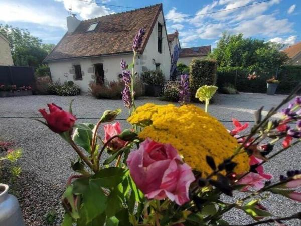 Charmante Maison Bourbonnaise Du Xviiie Avec Animaux Acceptés - Fr-1-489-393 - Auvergne
